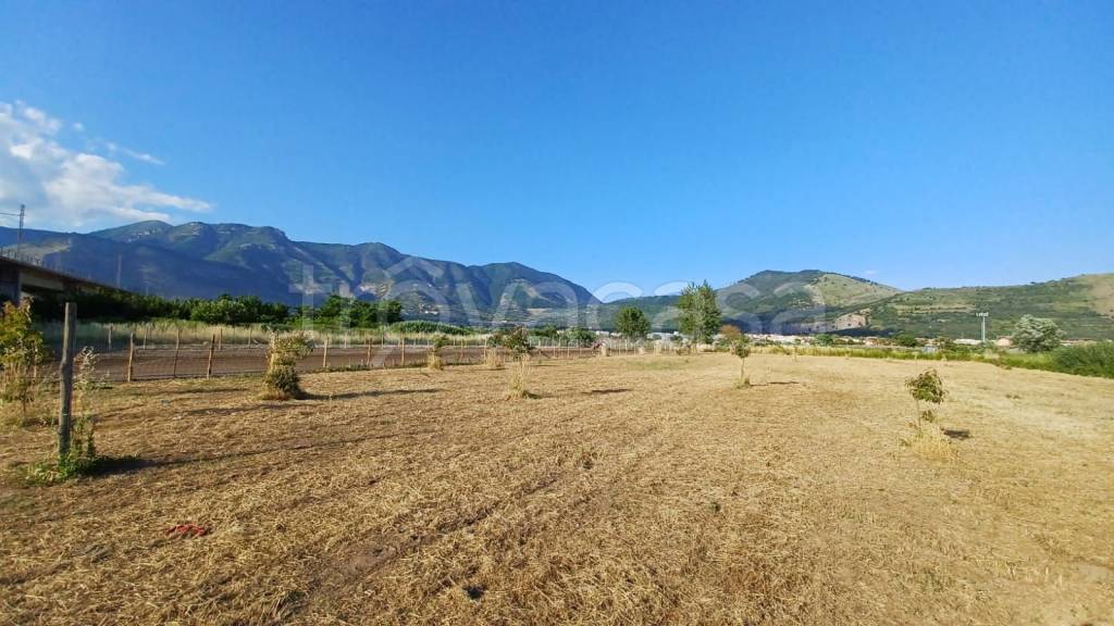 terreno agricolo in vendita a San Valentino Torio
