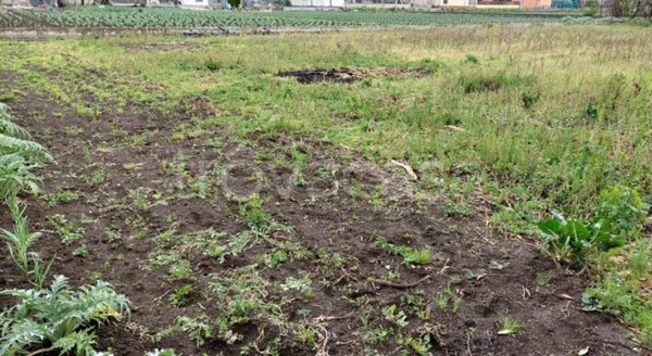 terreno agricolo in vendita a San Valentino Torio