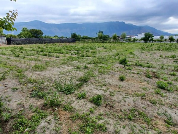 terreno agricolo in vendita a San Valentino Torio