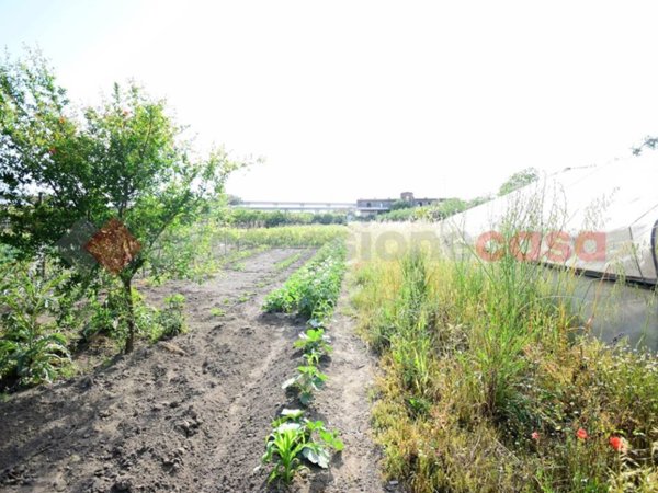 terreno agricolo in vendita a San Valentino Torio