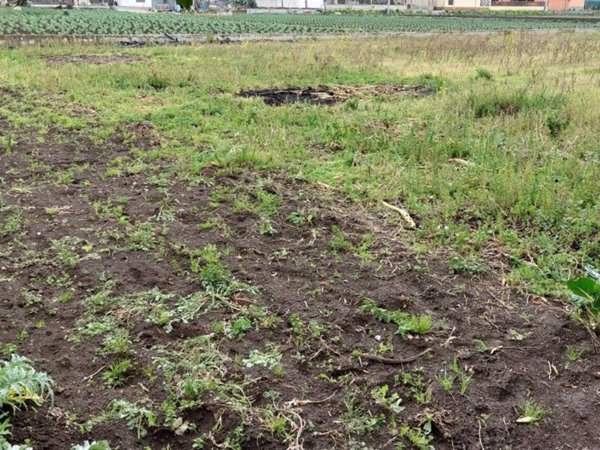 terreno agricolo in vendita a San Valentino Torio