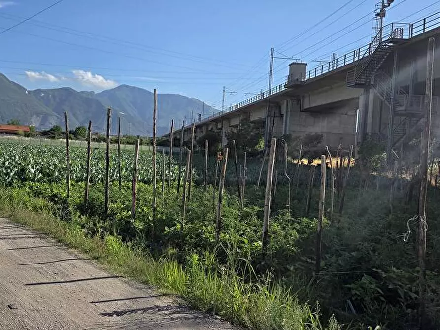 terreno agricolo in vendita a San Valentino Torio in zona Sciulia