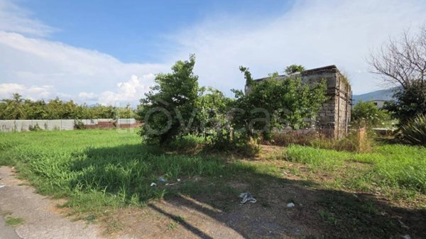 terreno agricolo in vendita a San Valentino Torio