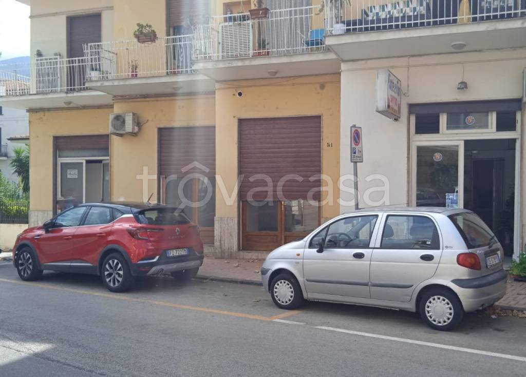 immagine annuncio 0 di 5