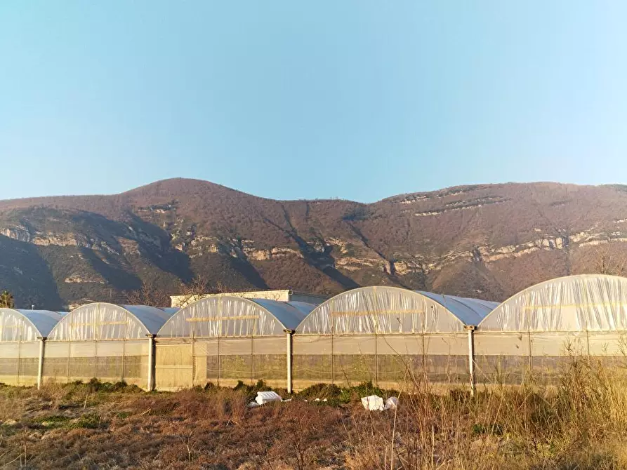 terreno agricolo in vendita a Sarno