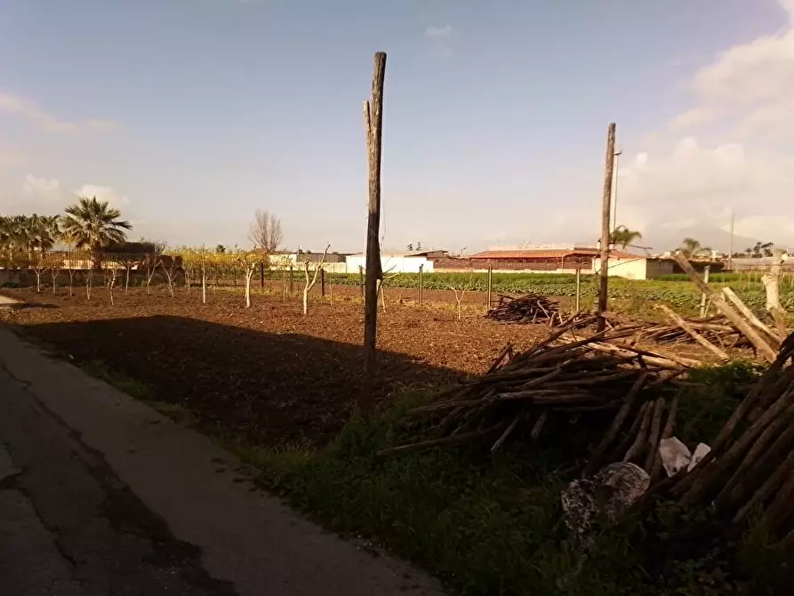 terreno agricolo in vendita a Sarno