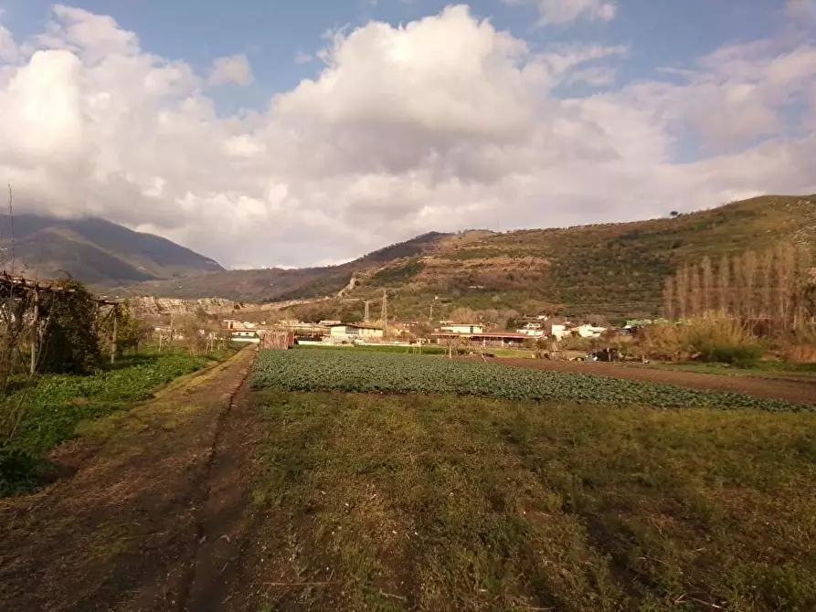 terreno agricolo in vendita a Sarno