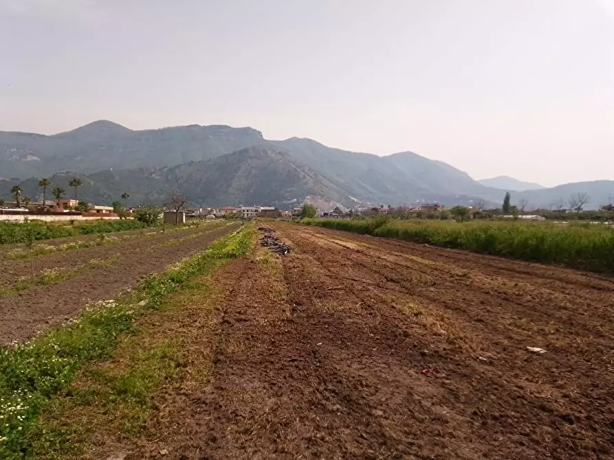 terreno agricolo in vendita a Sarno