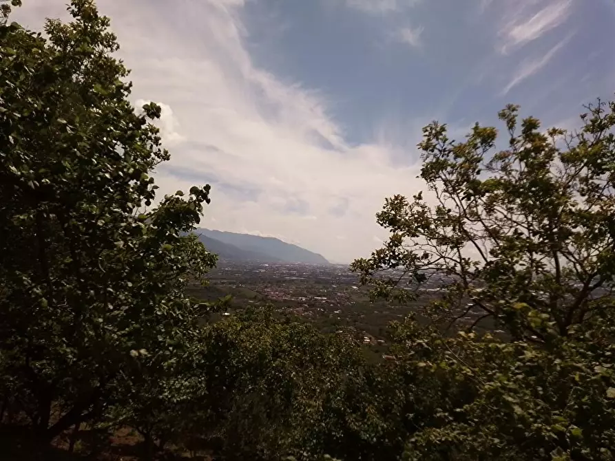 terreno agricolo in vendita a Sarno