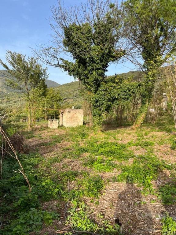 terreno agricolo in vendita a Sarno