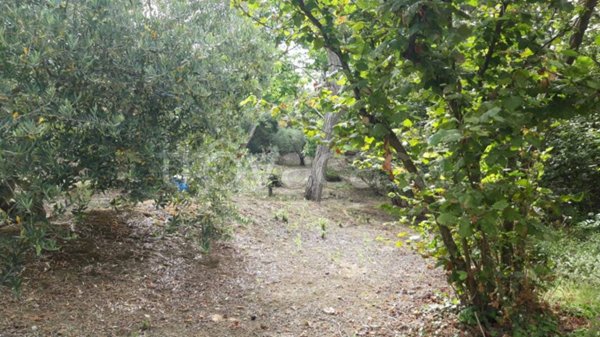 terreno agricolo in vendita a Sarno