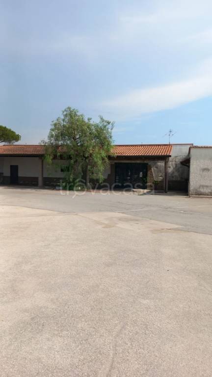 locale commerciale in vendita a Sarno