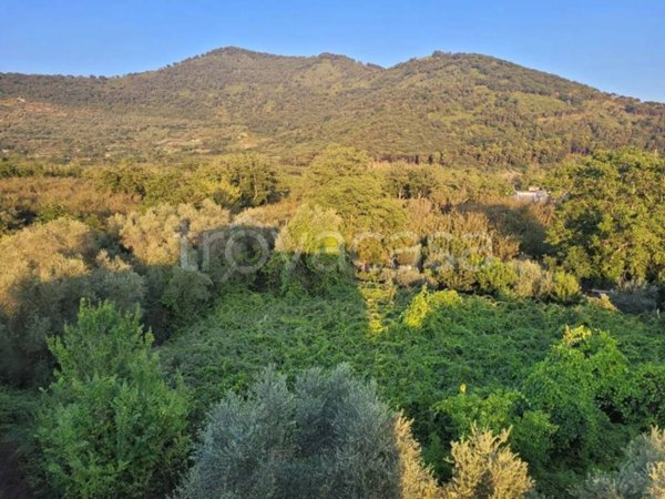 casa indipendente in vendita a Sarno