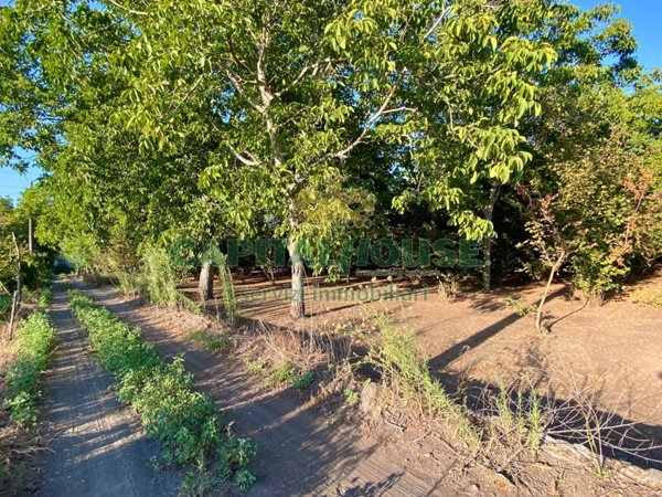terreno agricolo in vendita a Sarno
