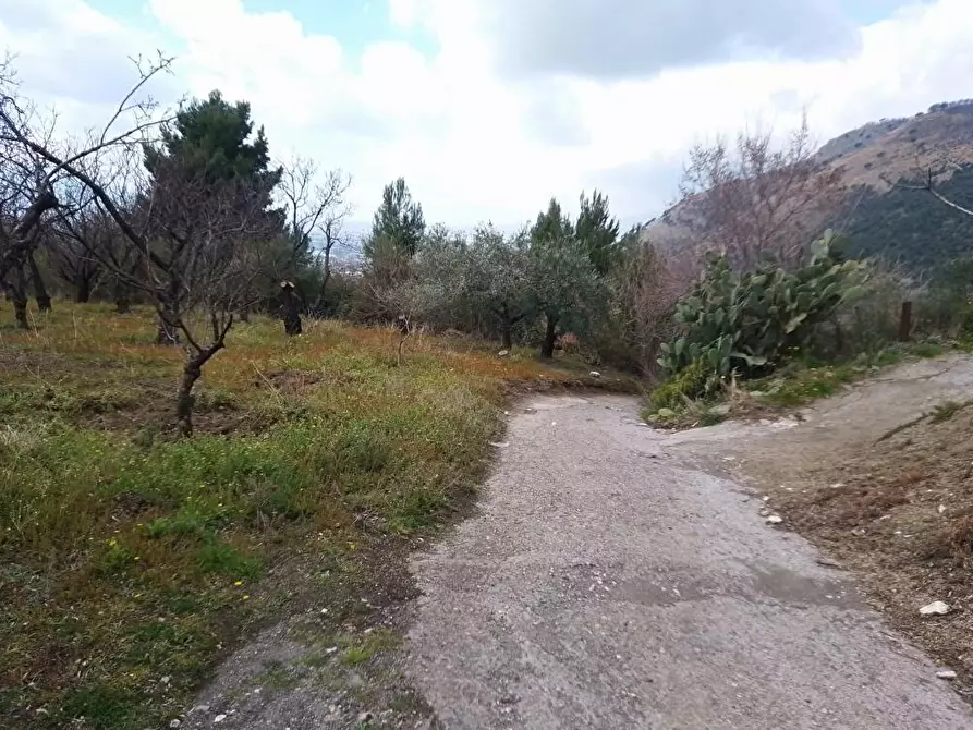 terreno agricolo in vendita a Sarno