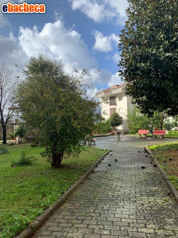 appartamento in vendita a Sarno