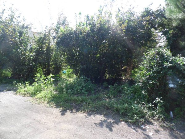 terreno agricolo in vendita a Sarno