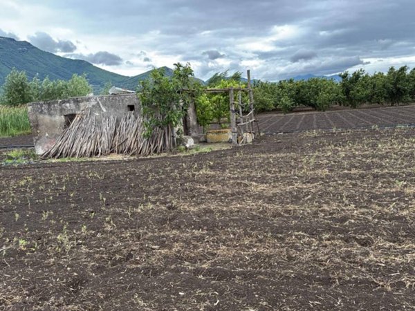 terreno agricolo in vendita a Sarno