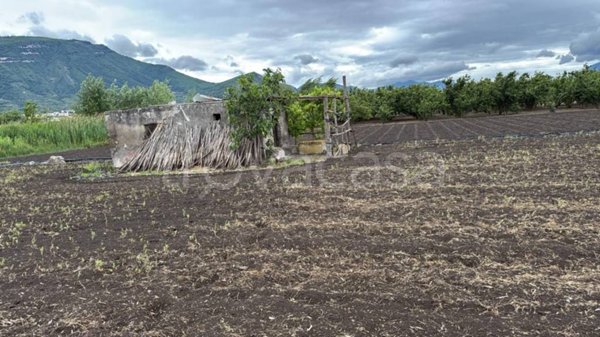 terreno agricolo in vendita a Sarno