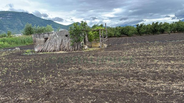 terreno agricolo in vendita a Sarno
