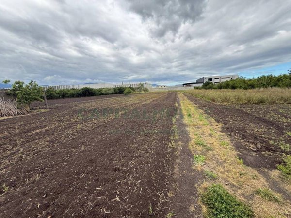 terreno agricolo in vendita a Sarno