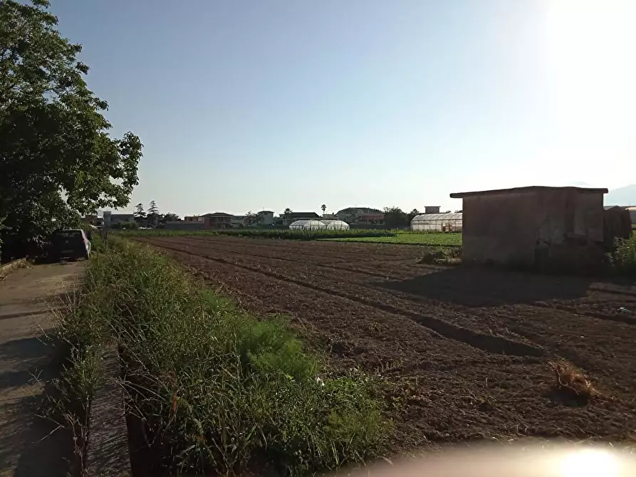 terreno agricolo in vendita a Sarno
