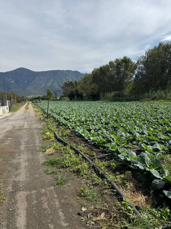 terreno agricolo in vendita a Sarno
