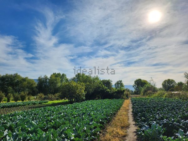terreno agricolo in vendita a Sarno