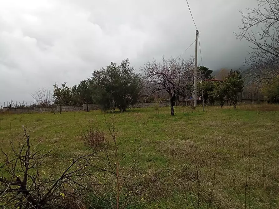 terreno agricolo in vendita a Sarno