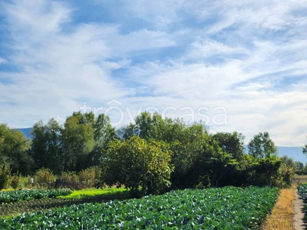 terreno agricolo in vendita a Sarno in zona Lavorate