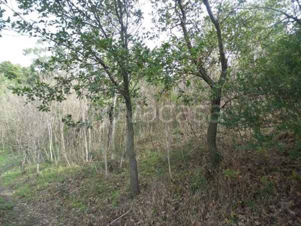 terreno agricolo in vendita a Sarno