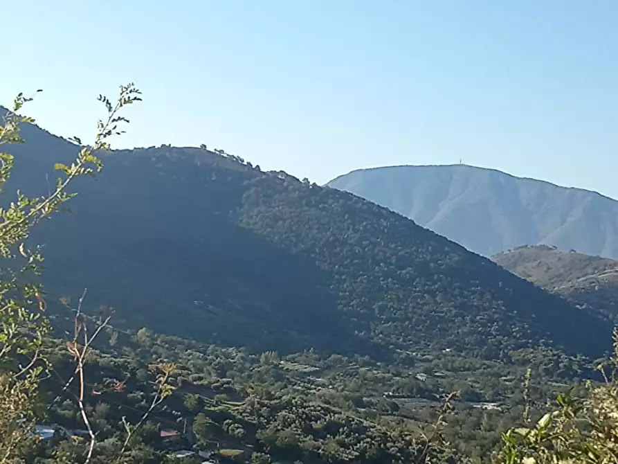 terreno agricolo in vendita a Sarno
