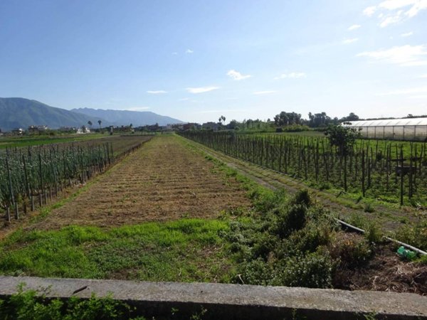 terreno agricolo in vendita a Sarno in zona Lavorate