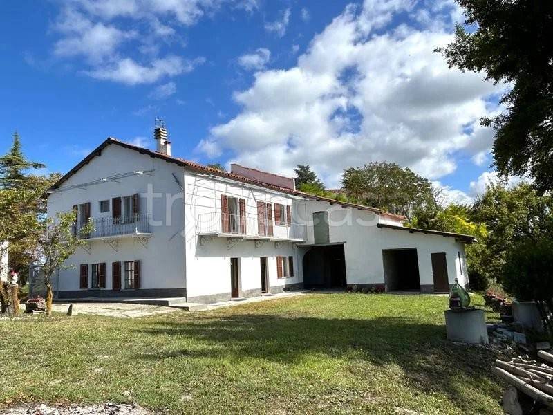 casa indipendente in vendita a Clavesana