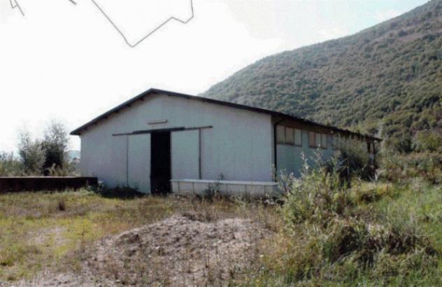 negozio in vendita a Sassano