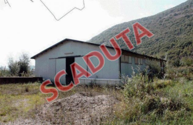 pentavano in vendita a Sassano