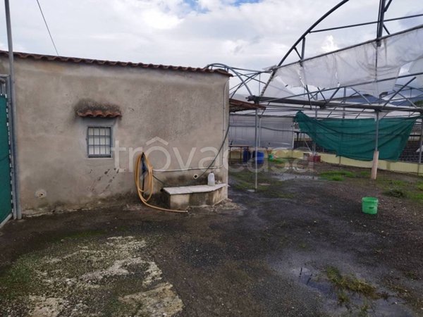 terreno agricolo in vendita a Scafati