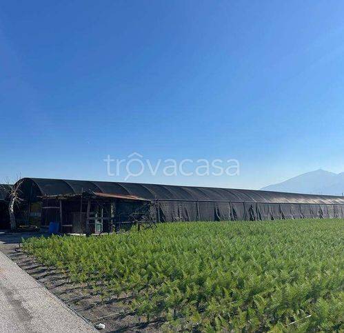 terreno agricolo in vendita a Scafati in zona San Pietro