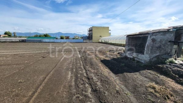 terreno agricolo in vendita a Scafati