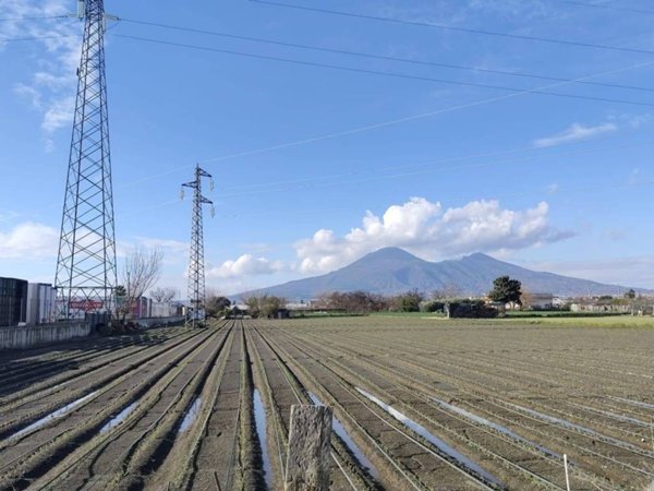 terreno agricolo in vendita a Scafati