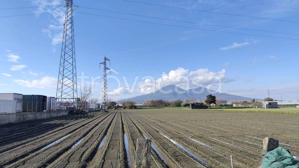 terreno agricolo in vendita a Scafati