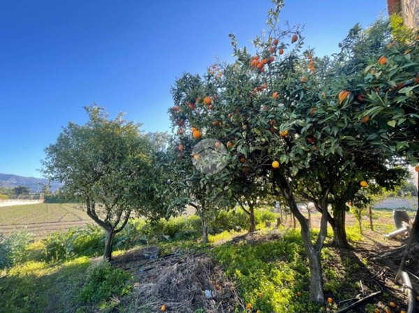 terreno agricolo in vendita a Scafati in zona Fosso dei Bagni