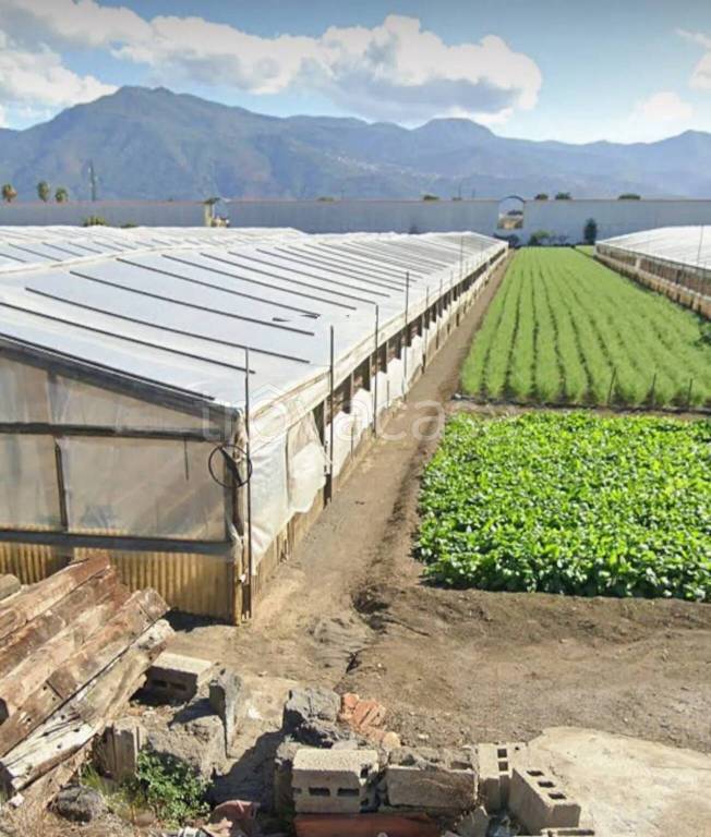 terreno agricolo in vendita a Scafati