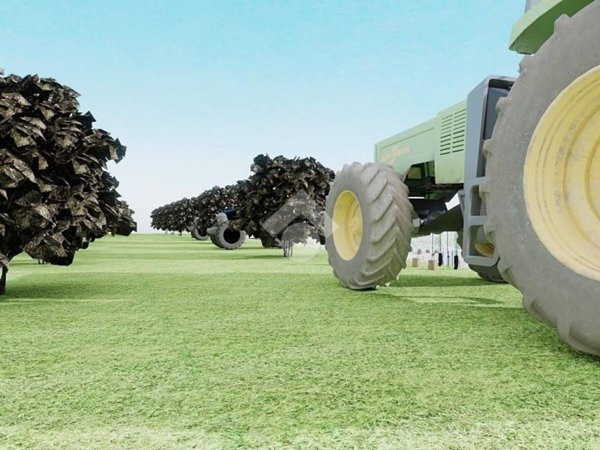 terreno agricolo in vendita a Scafati
