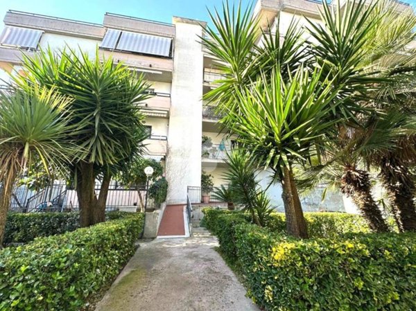 appartamento in vendita a Scafati