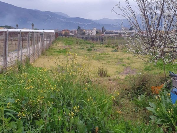 terreno agricolo in vendita a Scafati