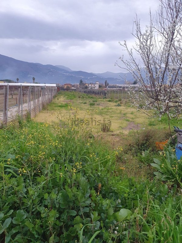 terreno agricolo in vendita a Scafati