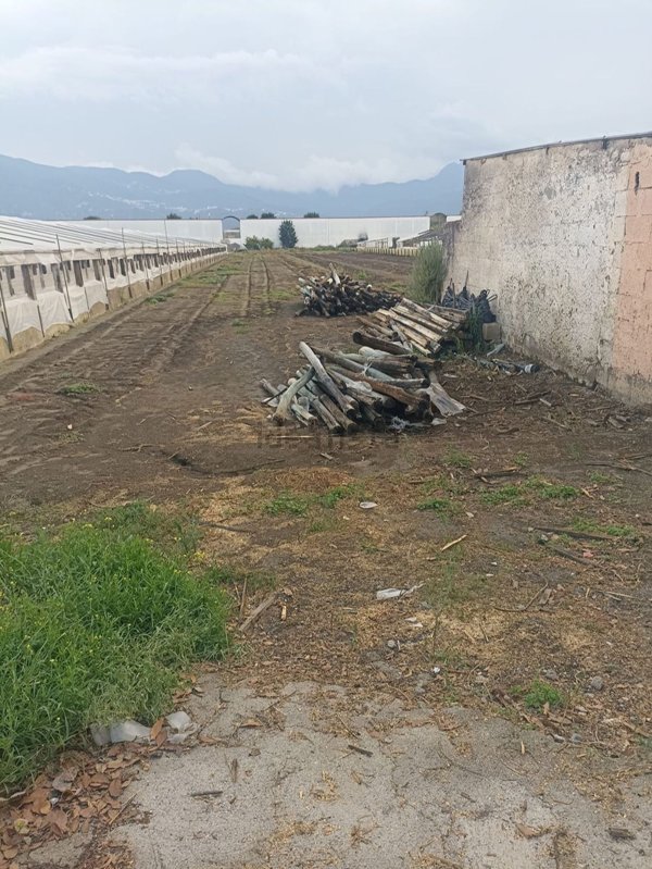 terreno agricolo in vendita a Scafati