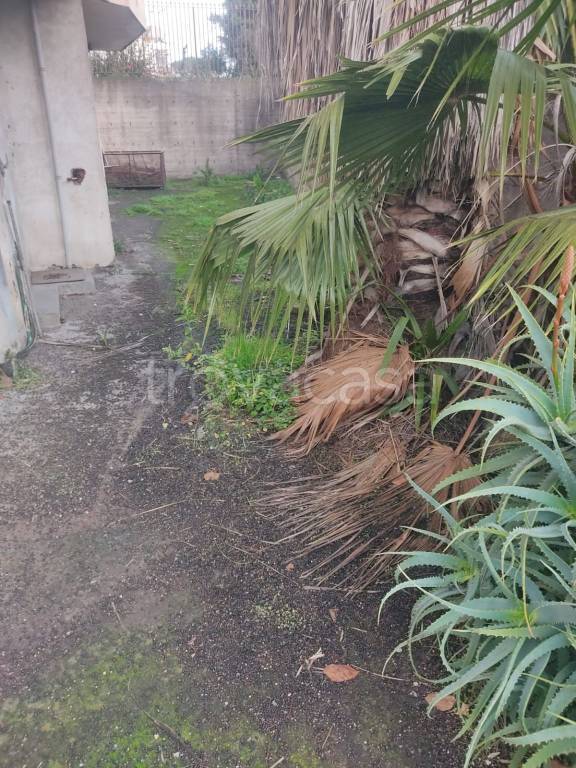 negozio in vendita a Scafati