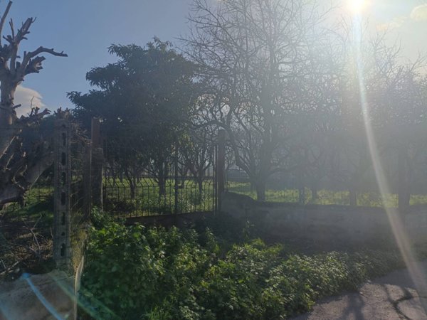 terreno agricolo in vendita a Scafati